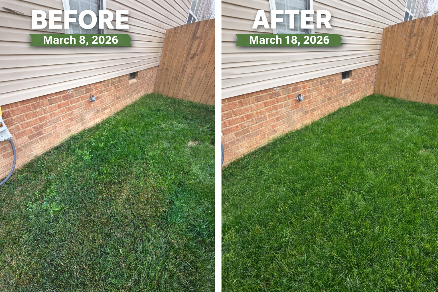 lawn transformation before and after care